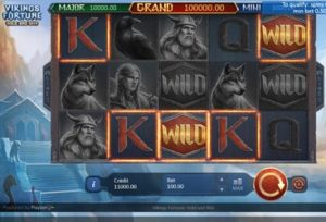 Machine à sous Vikings Fortune Hold and Win